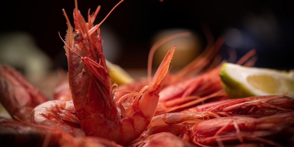 Italian luxury food that you should taste and where: Mazara del Vallo red prawn